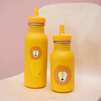 Stainless Steel Bottle 500 ml - Mr Lion