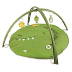 Activity Play Mat with Arches - Mr Dino