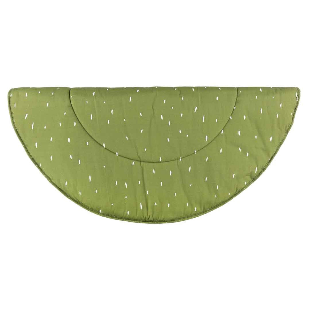 Activity Play Mat with Arches - Mr Dino