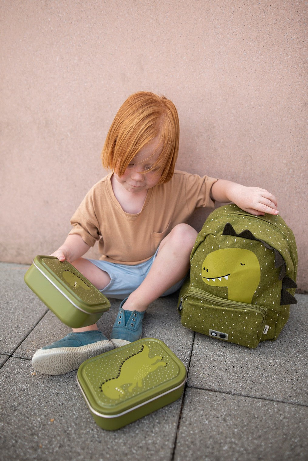 Small Lunch Box - Mr. Dinosaur