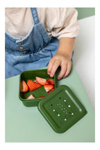 Nesting Snack Boxes, 3-Piece Set – Mr. Alligator