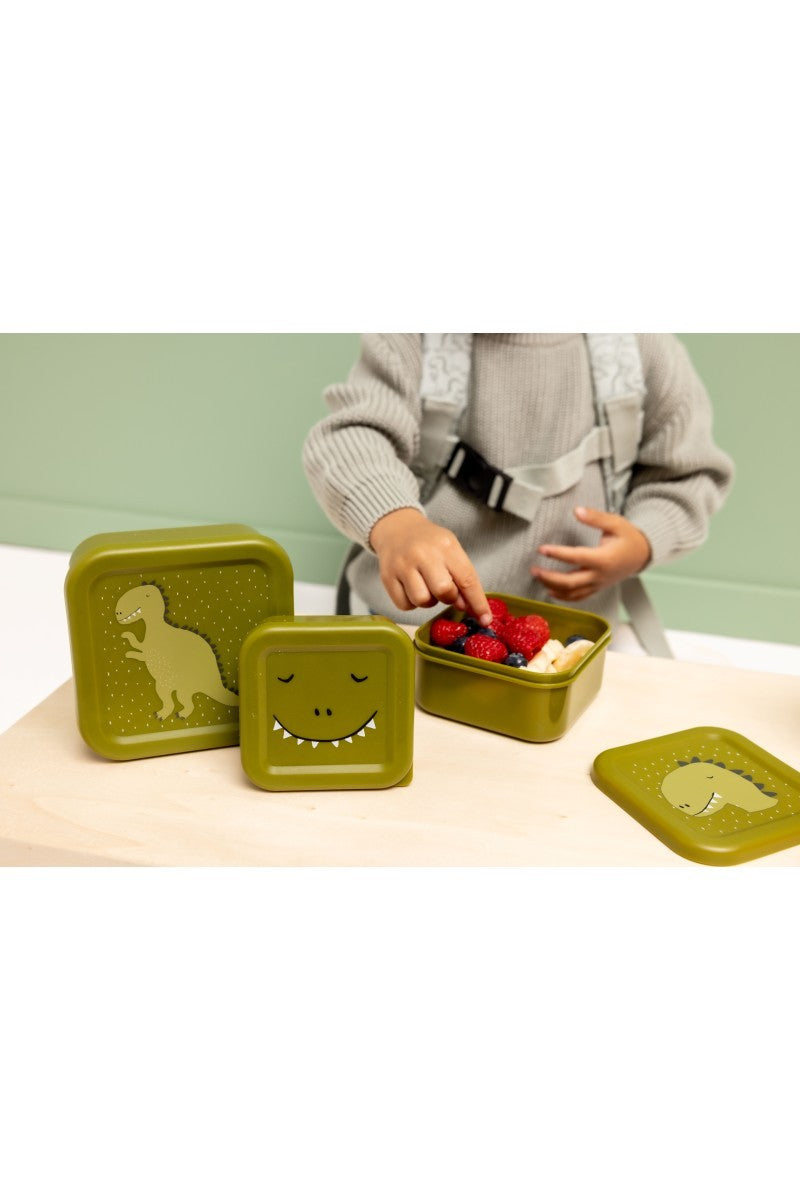 Nesting Snack Boxes, 3-Piece Set – Mr. Dino