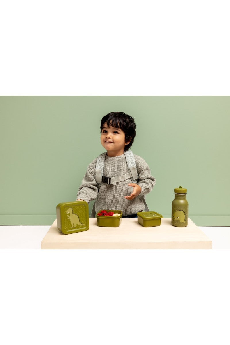 Nesting Snack Boxes, 3-Piece Set – Mr. Dino