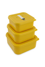 Nesting Snack Boxes, 3-Piece Set – Mr. Lion