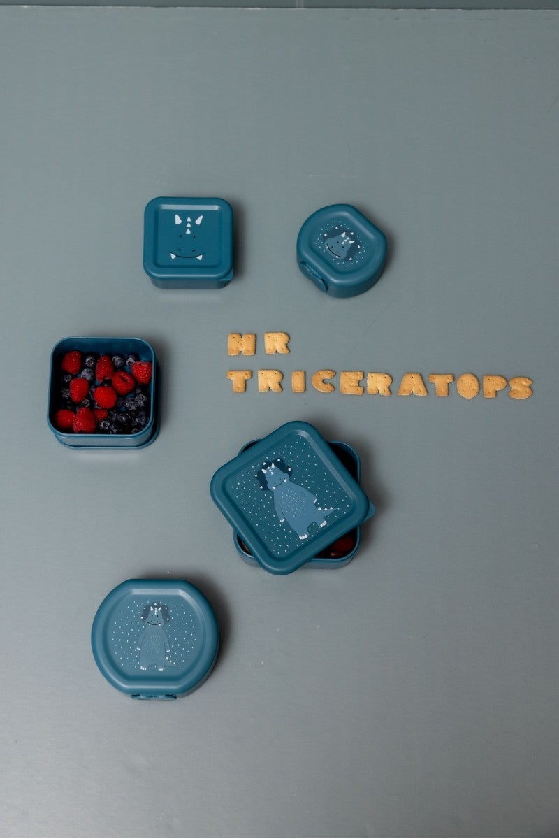 Nesting Snack Boxes, 3-Piece Set – Mr. Triceratops