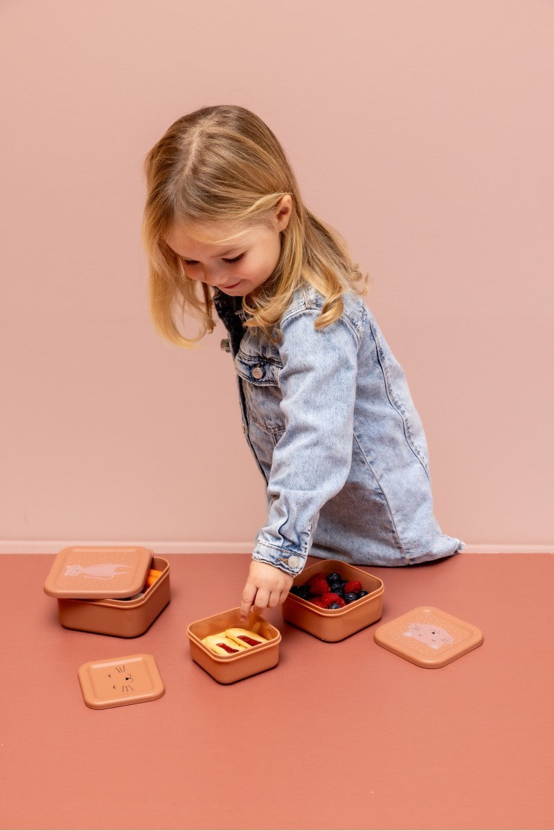 Nesting Snack Boxes, 3-Piece Set – Mrs. Cat
