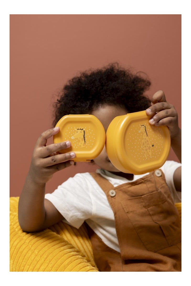 Snack Boxes with Clips, 2-Piece Set – Mr. Giraffe
