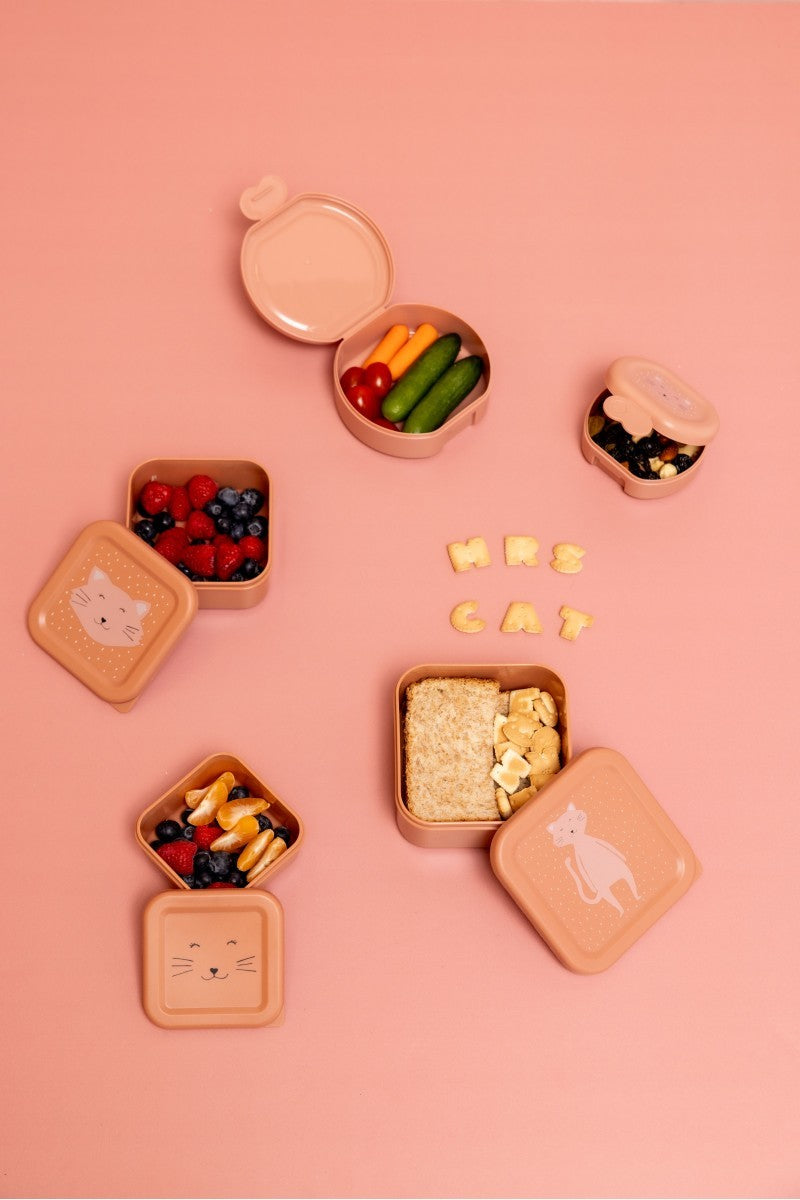 Snack Boxes with Clips, 2-Piece Set – Mrs. Cat