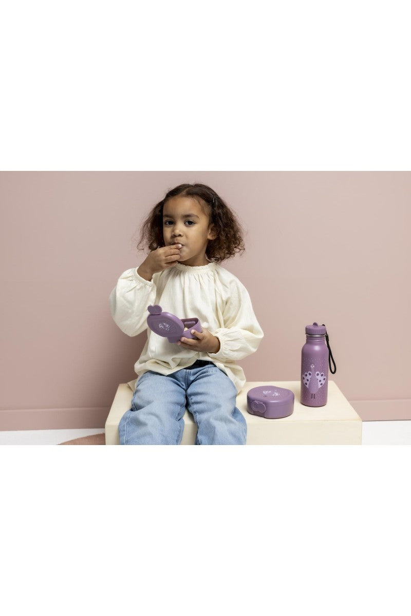 Snack Boxes with Clips, 2-Piece Set – Mrs. Peacock